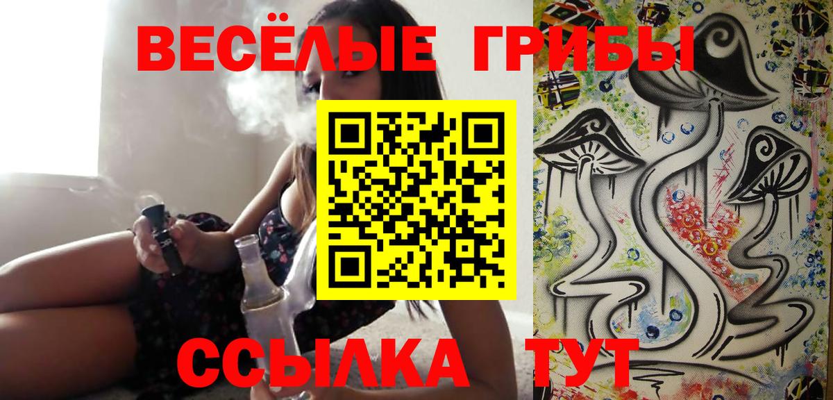 Псилоцибиновые грибы Psilocybe Каменка